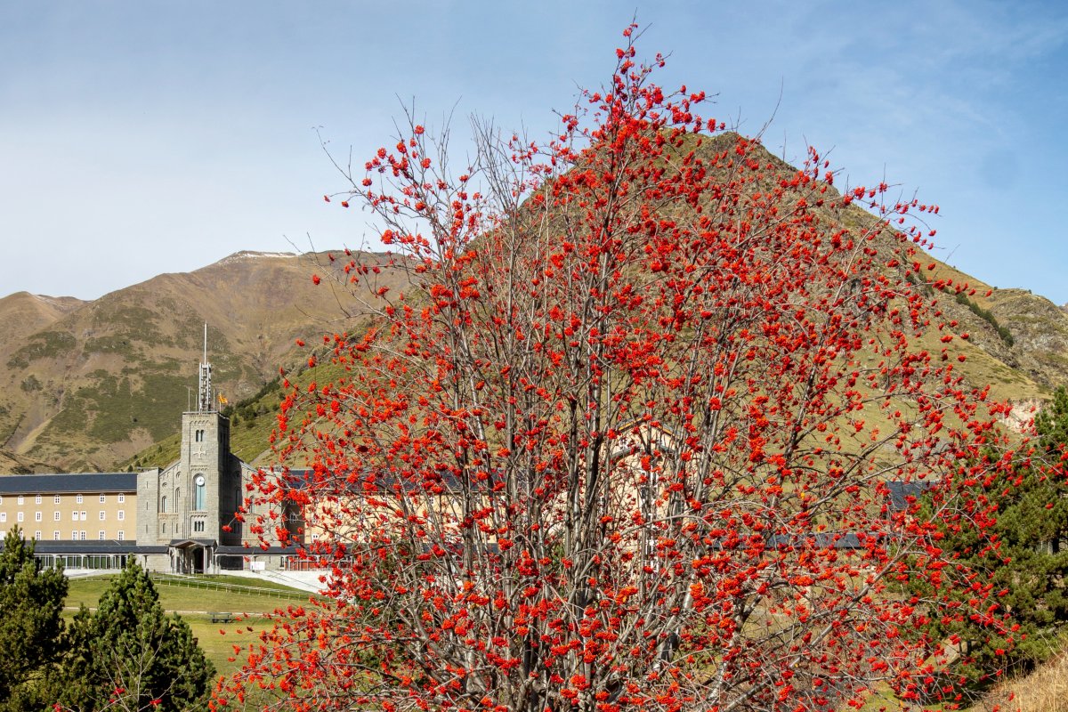 A cada estació la Vall de Núria llueix amb el seu esplendor característic