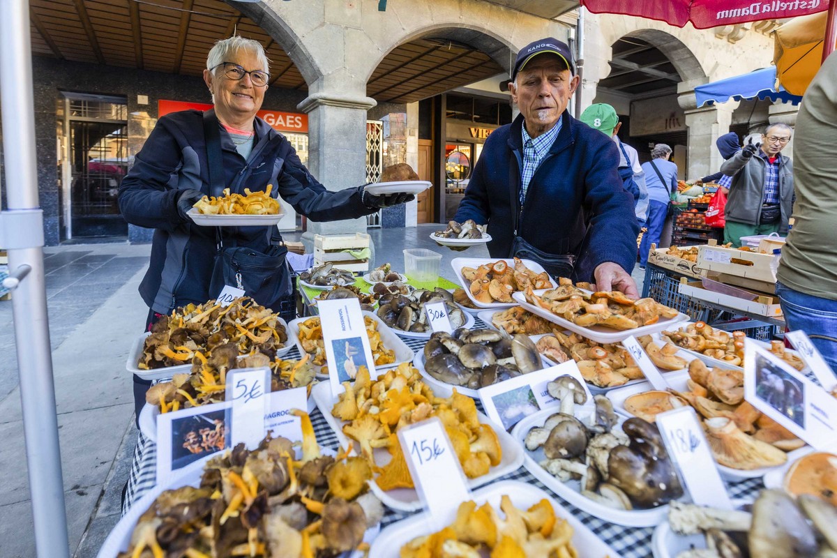 Enriqueta Guixaró i Josep Seuba, venent els seus bolets dissabte al mercat de Vic