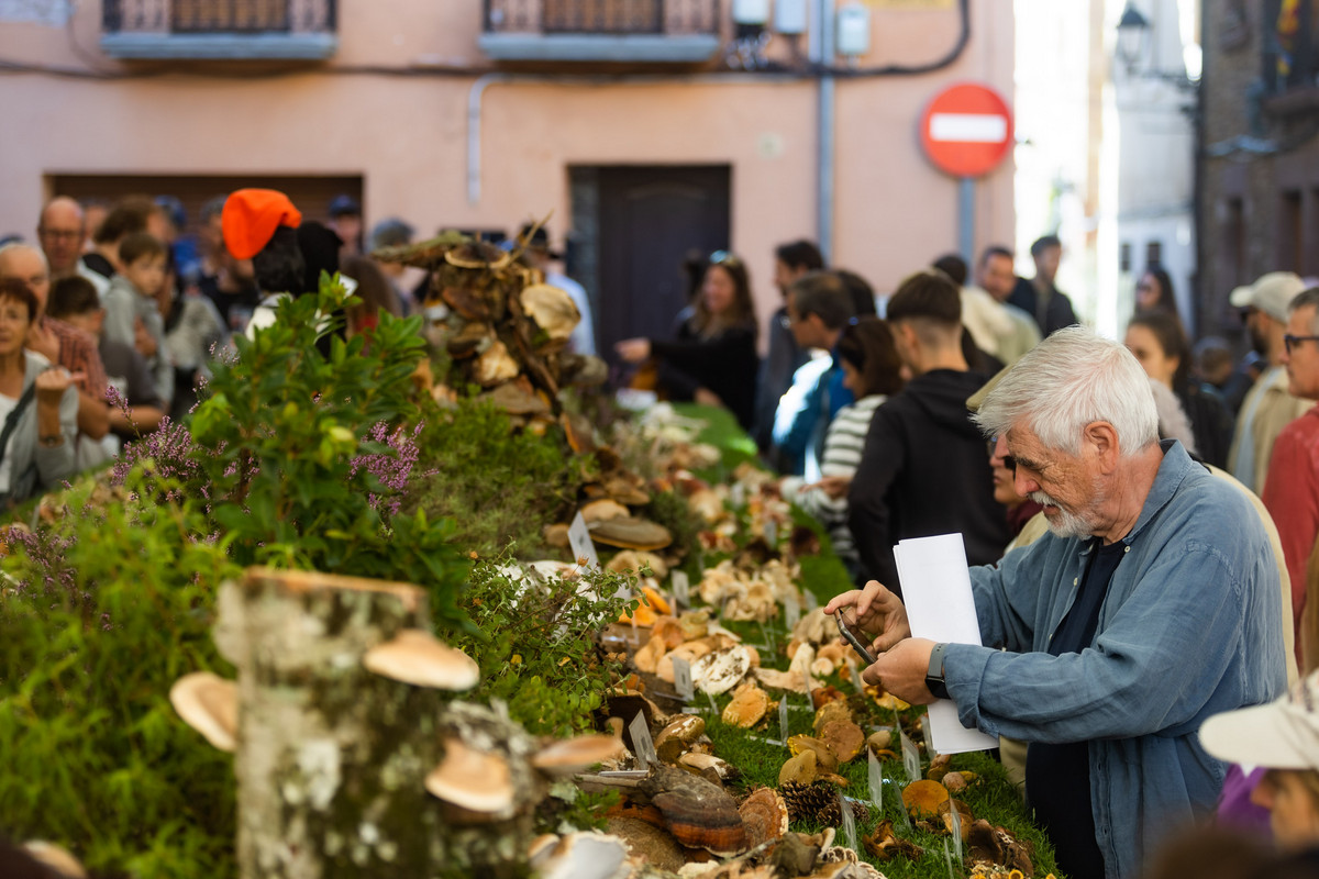 L’exposició i el tastet de bolets i la riuada de gent visitant les parades