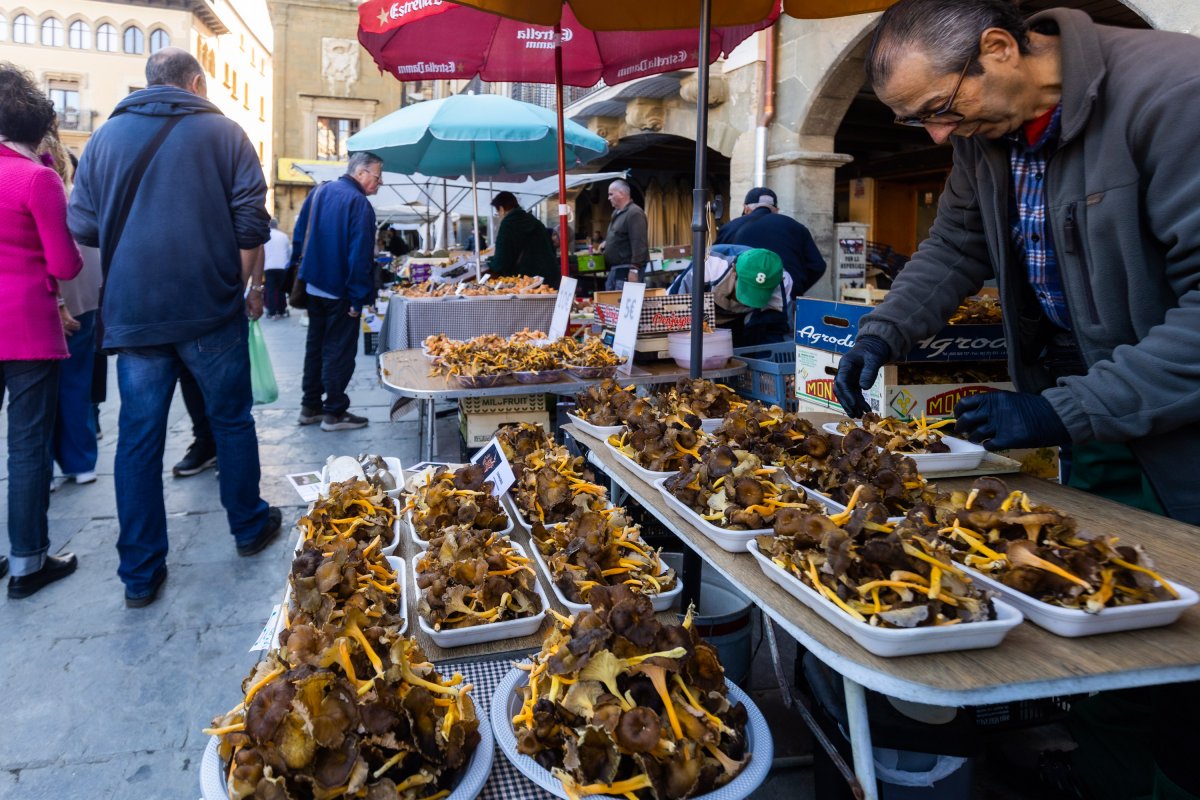 Parades de bolets al mercat de Vic de dissabte
