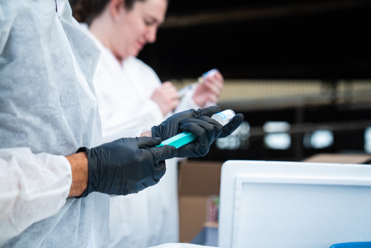 Les primeres vacunes es van començar a aplicar dijous de la setmana passada