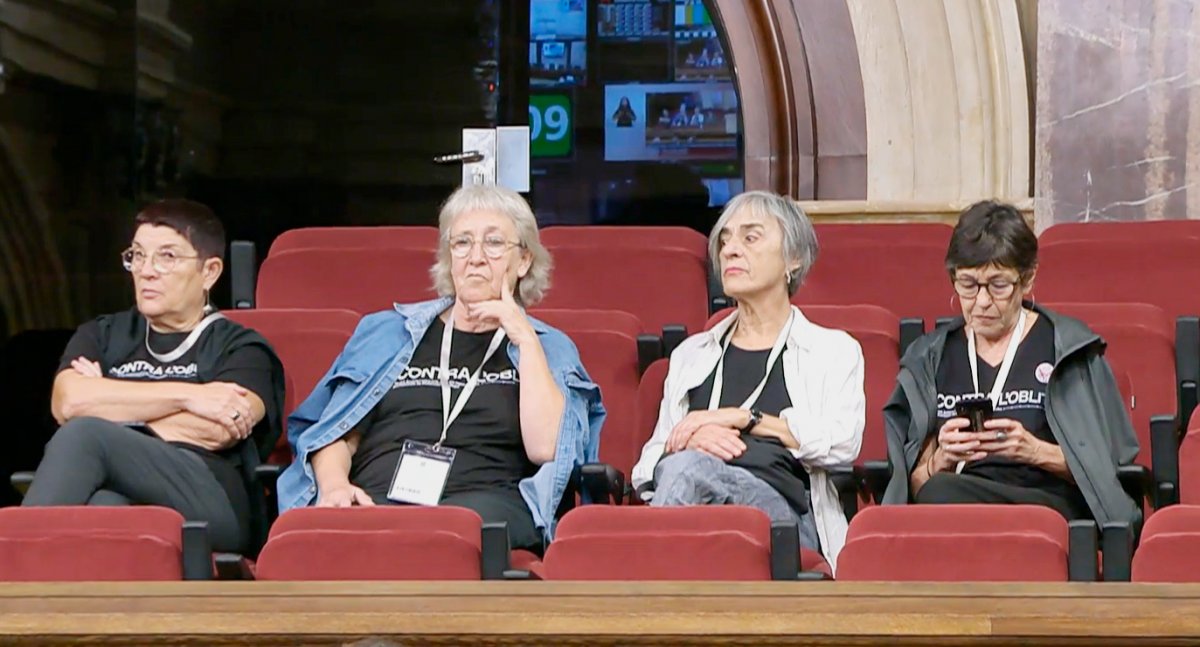 Maria Forns i altres membres del grup de suport han assistit al ple d'aprovació de la comissió d'investigació al Parlament