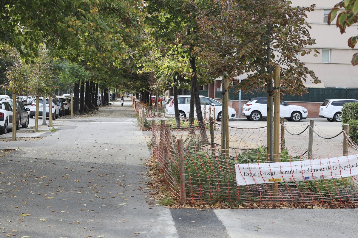 Durant els treballs s’ha actuat per crear nous parterres al carrer Tres Torres de Granollers