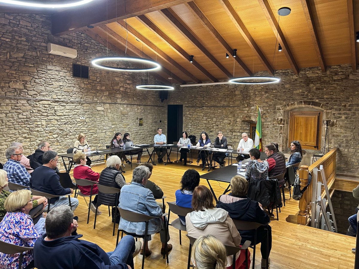 Els assistents de dimecres passat al ple de Seva