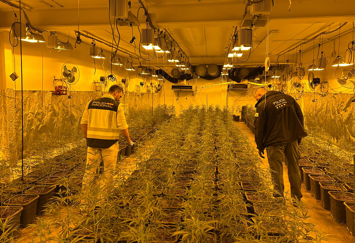 Agents de la Policia Nacional i de la Guàrdia Urbana de Vic, aquest dilluns al matí a la nau