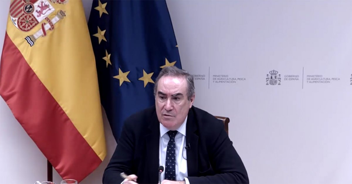 Emilio García Muro durant la compareixença virtual d'aquest dimarts