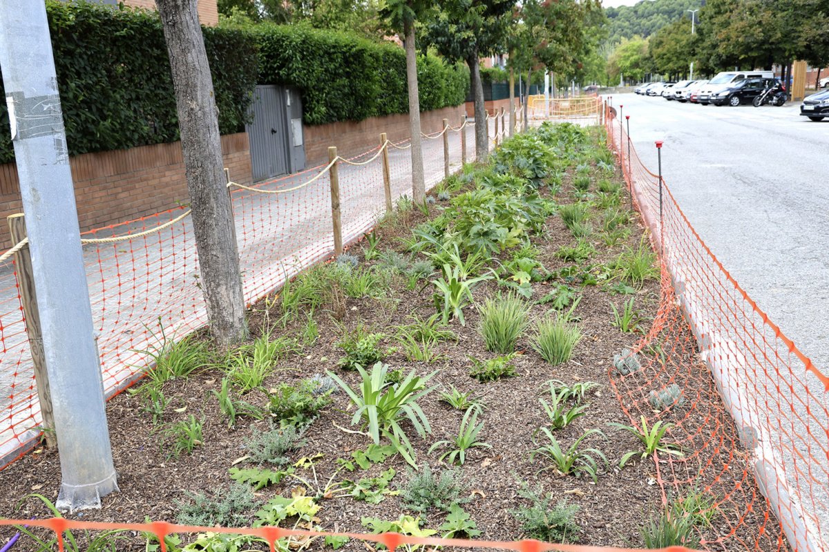 Les obres de naturalització del carrer Tres Torres aquest setembre