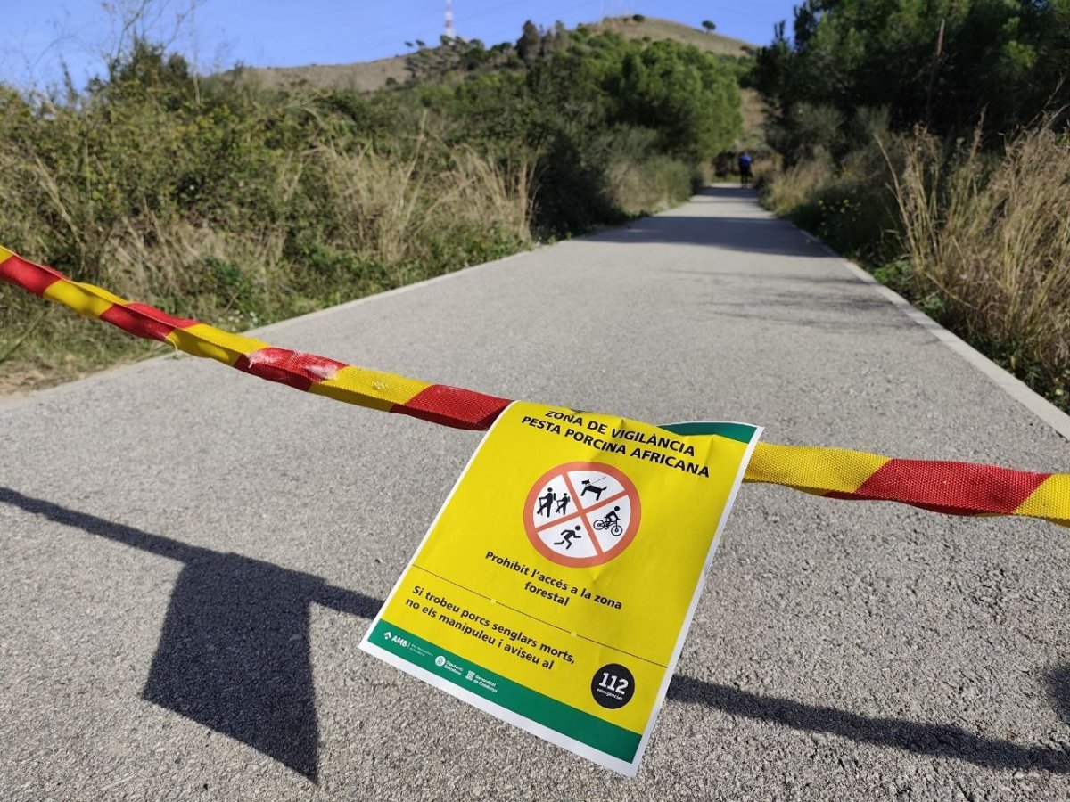 Un cartell avisa de la prohibició d'accés al parc de Collserola, inclòs a la zona de vigilància de la pesta porcina africana