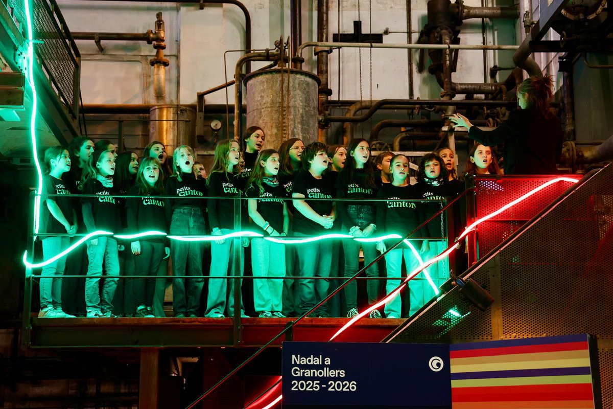 Granollers tindrà un arbre de Nadal de 15 metres d’alçada a la plaça Barangé