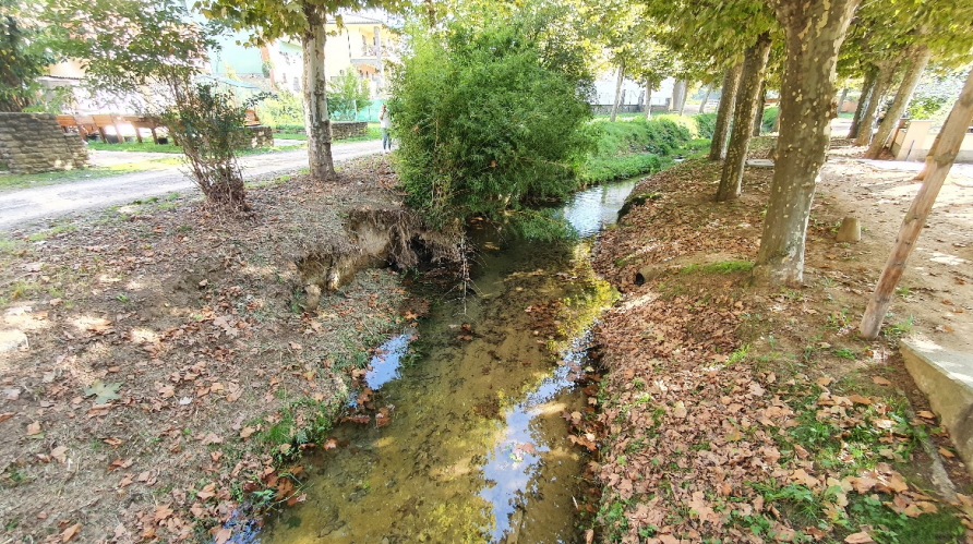 Un dels trams del Rigat al seu pas pel nucli de Folgueroles