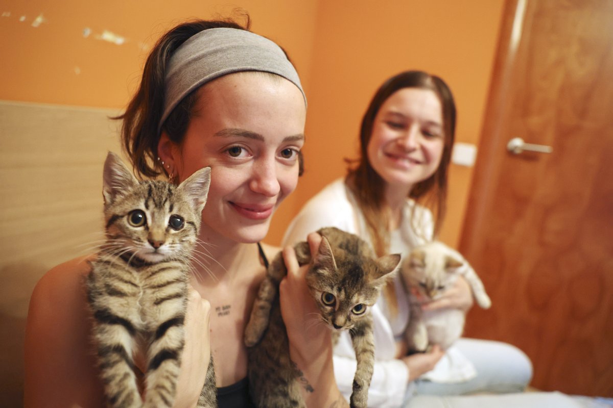 D’esquerra a dreta, la Mireia Coll i la Laura Iglesias, voluntàries de GatCeloni, amb els gats Gufi, Colmillo i Felipe