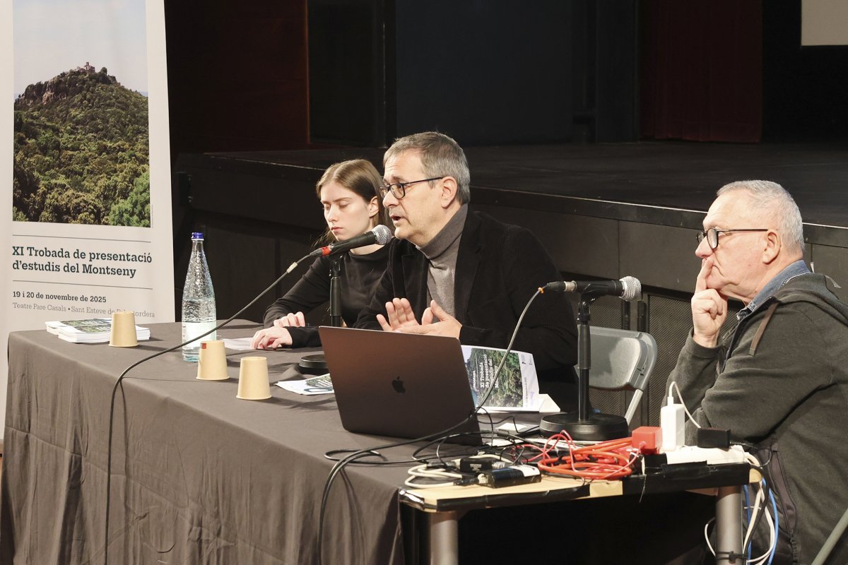 El Montseny va perdre 28 espècies de papallones durant el 2024