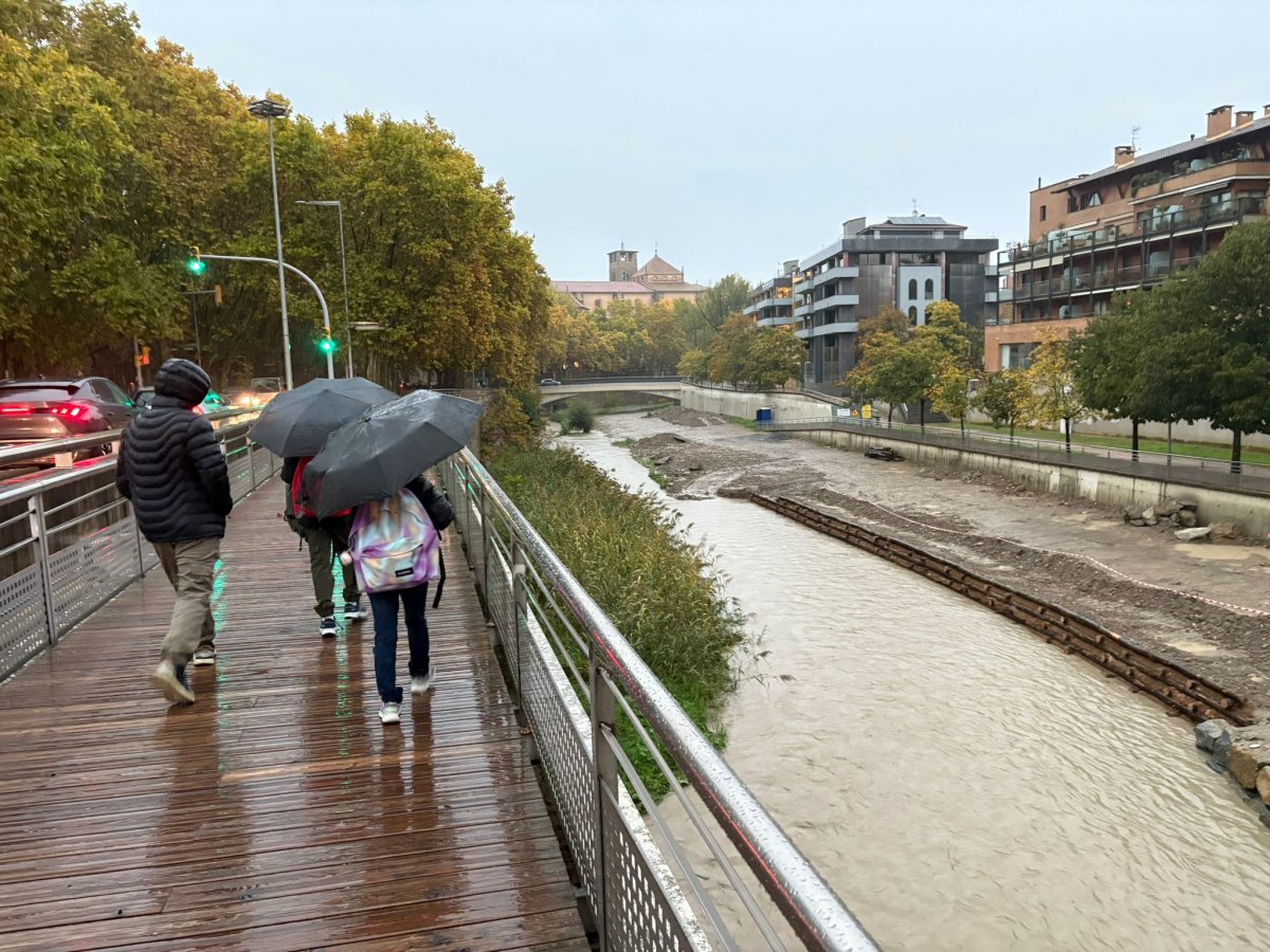 Imatge del riu Mèder, on aquests dies s'estaven fent feines de renaturalització