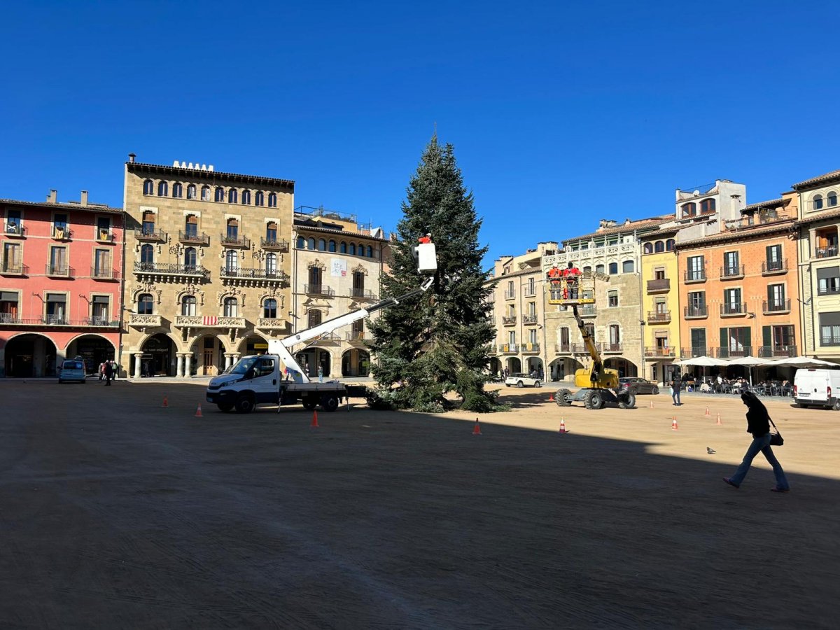 Operaris muntant l'arbre de Nadal, aquest dimecres al matí a la plaça Major