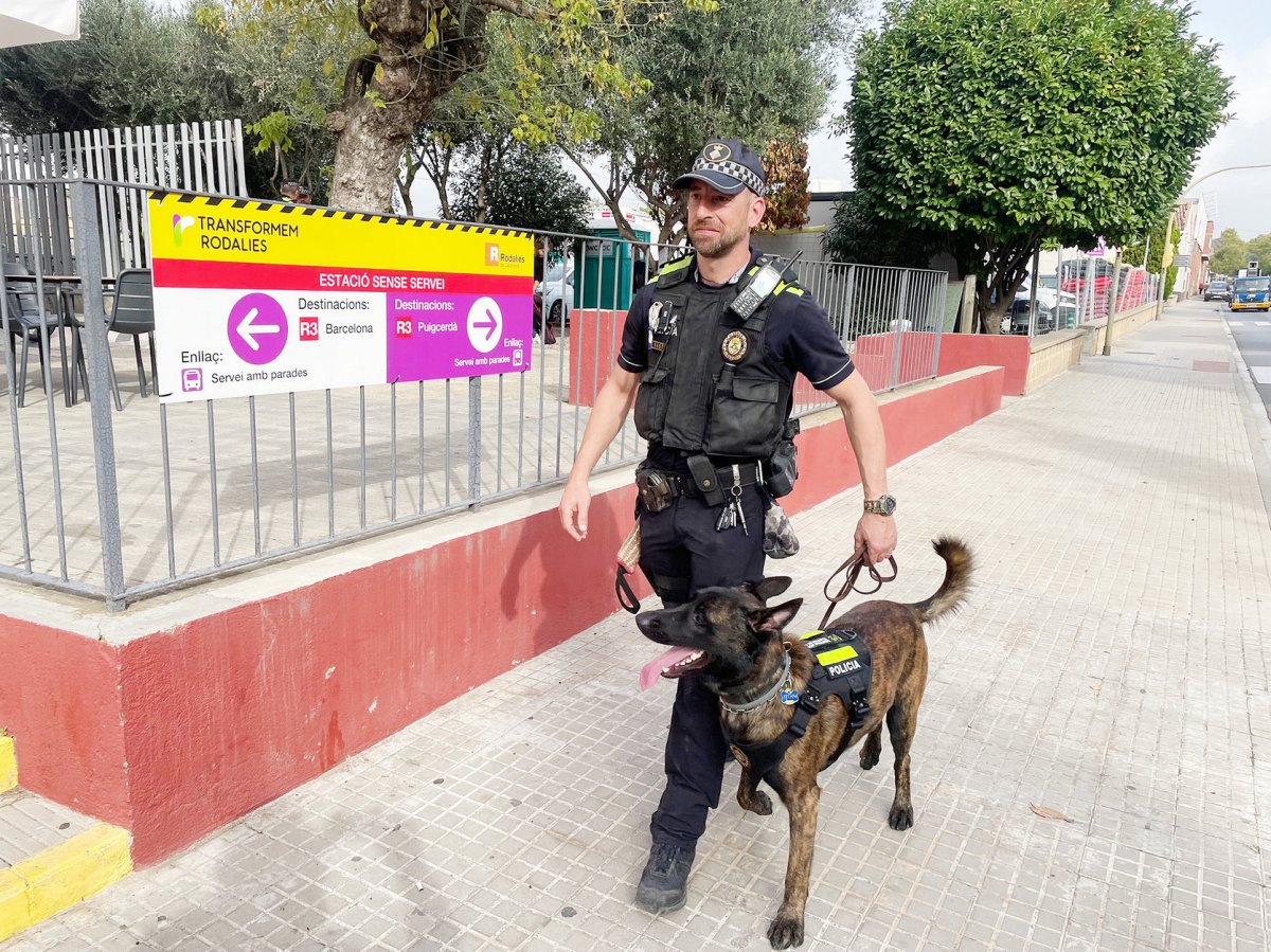 El gos Titan amb el policia guia en una imatge d'arxiu