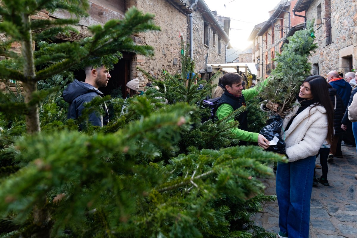 Una de les nou parades d’avets que hi ha a la fira, dissabte atenent la clientela
