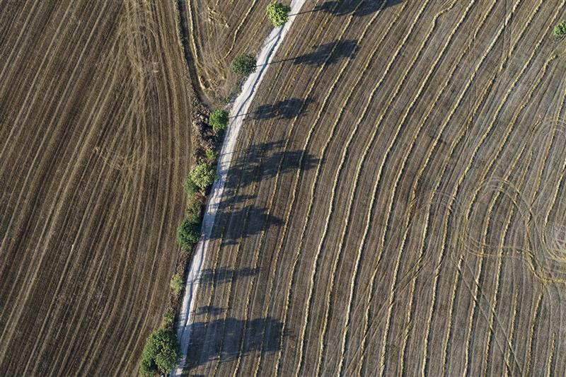 Parcel·les agrícoles catalanes recollides amb la DUN