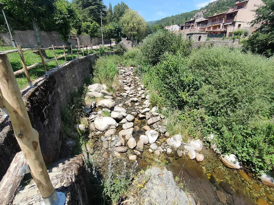 L'actuació preveu eliminar la vegetació que ha crescut descontrolada i reconduir el curs del riu