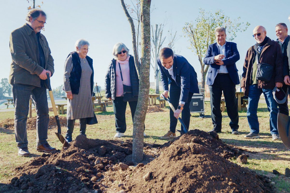 La plantació dels arbres a l'entorn del Circuit