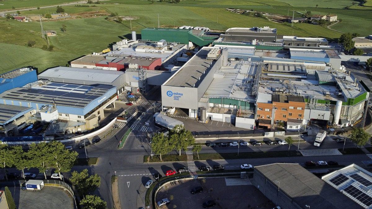 L'evolució d'Esfosa: d'un projecte a parts iguals de set empreses a un soci majoritari