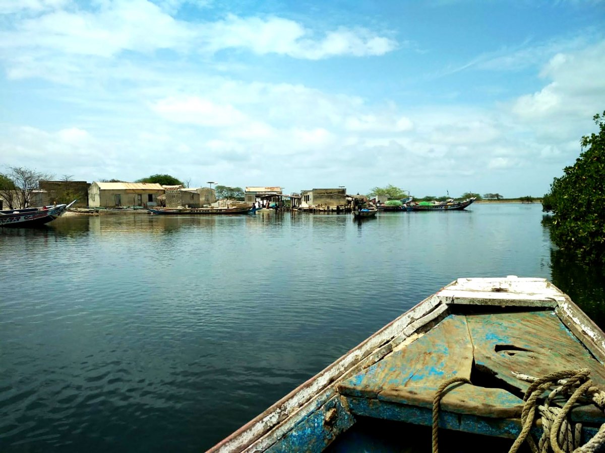El pretendent de la pirogue