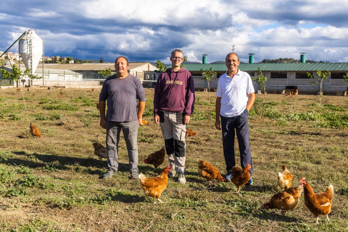 De porcaters a boletaires