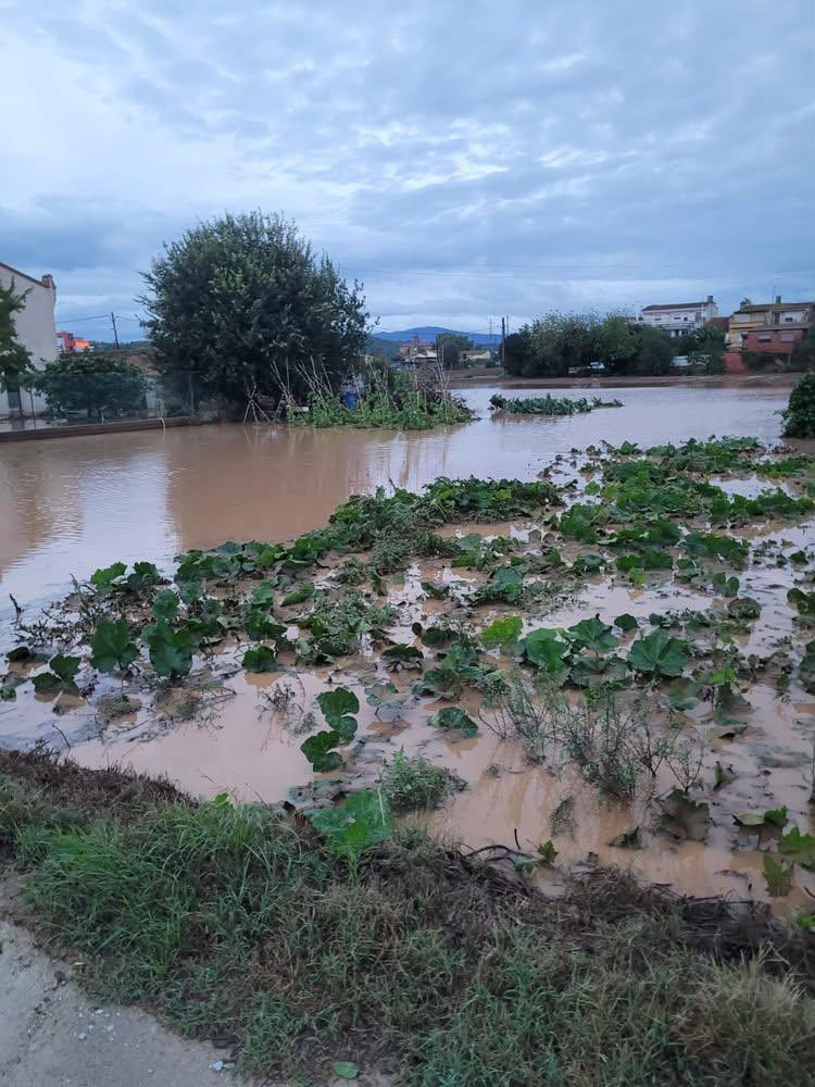 Els veïns de Palou alerten del col·lapse del clavegueram i del desbordament dels camps