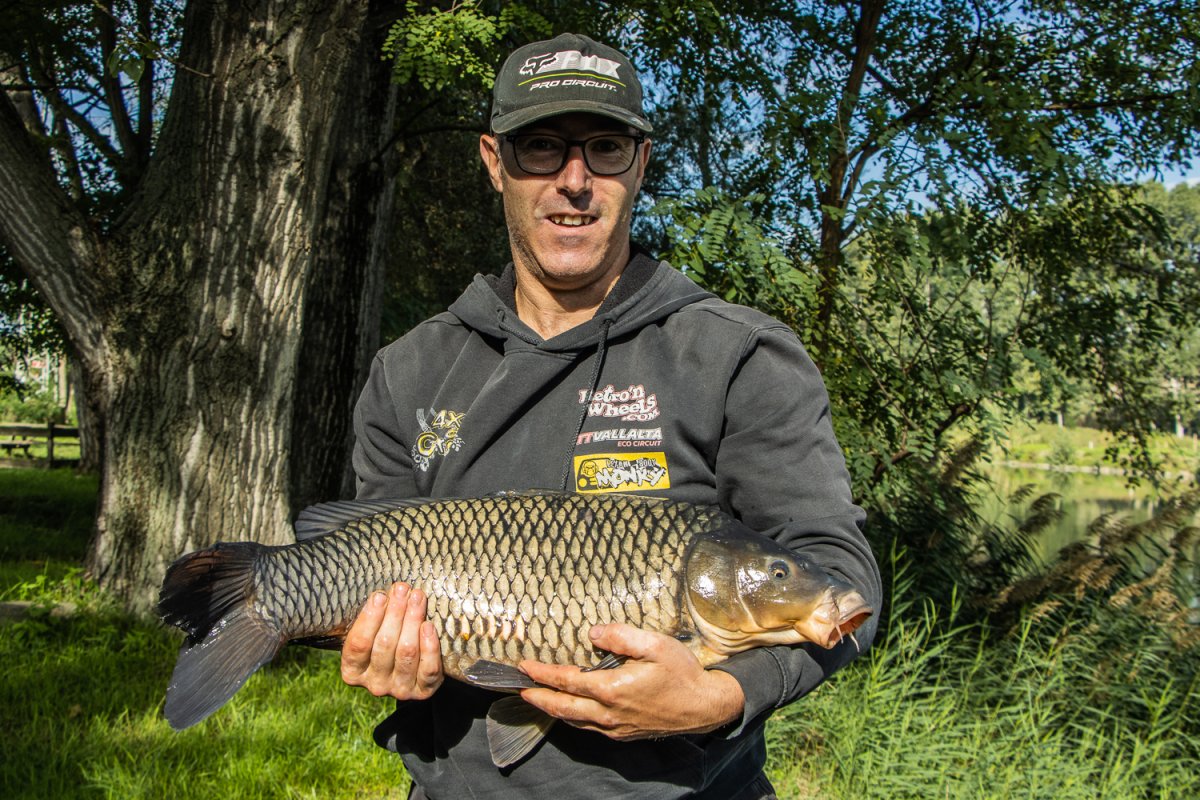 Una carpa de gairebé 7 quilos pescada al riu Ter